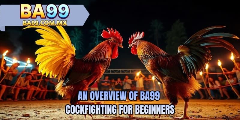 An overview of BA99 cockfighting for beginners 