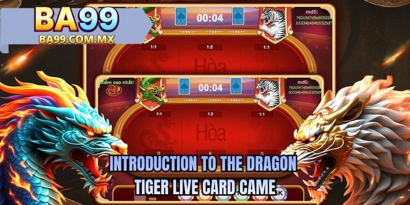 Introduction to the Dragon Tiger Live card came
